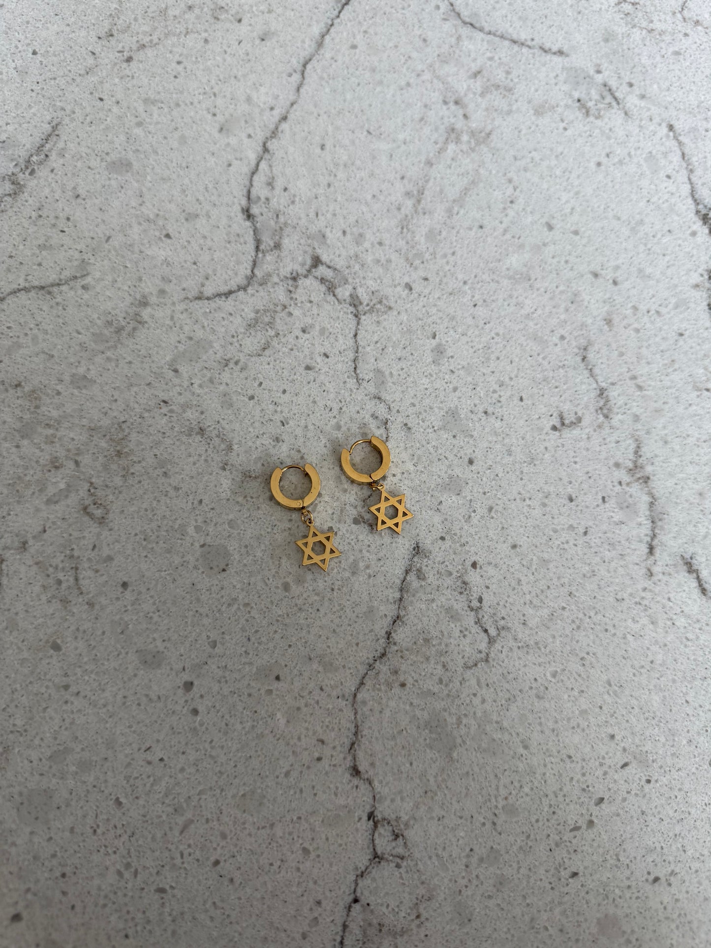 Gold Star of David Earring
