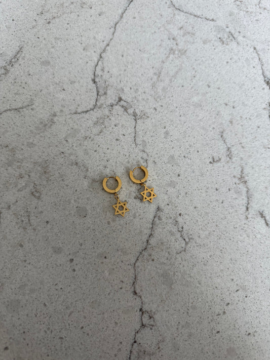 Gold Star of David Earring