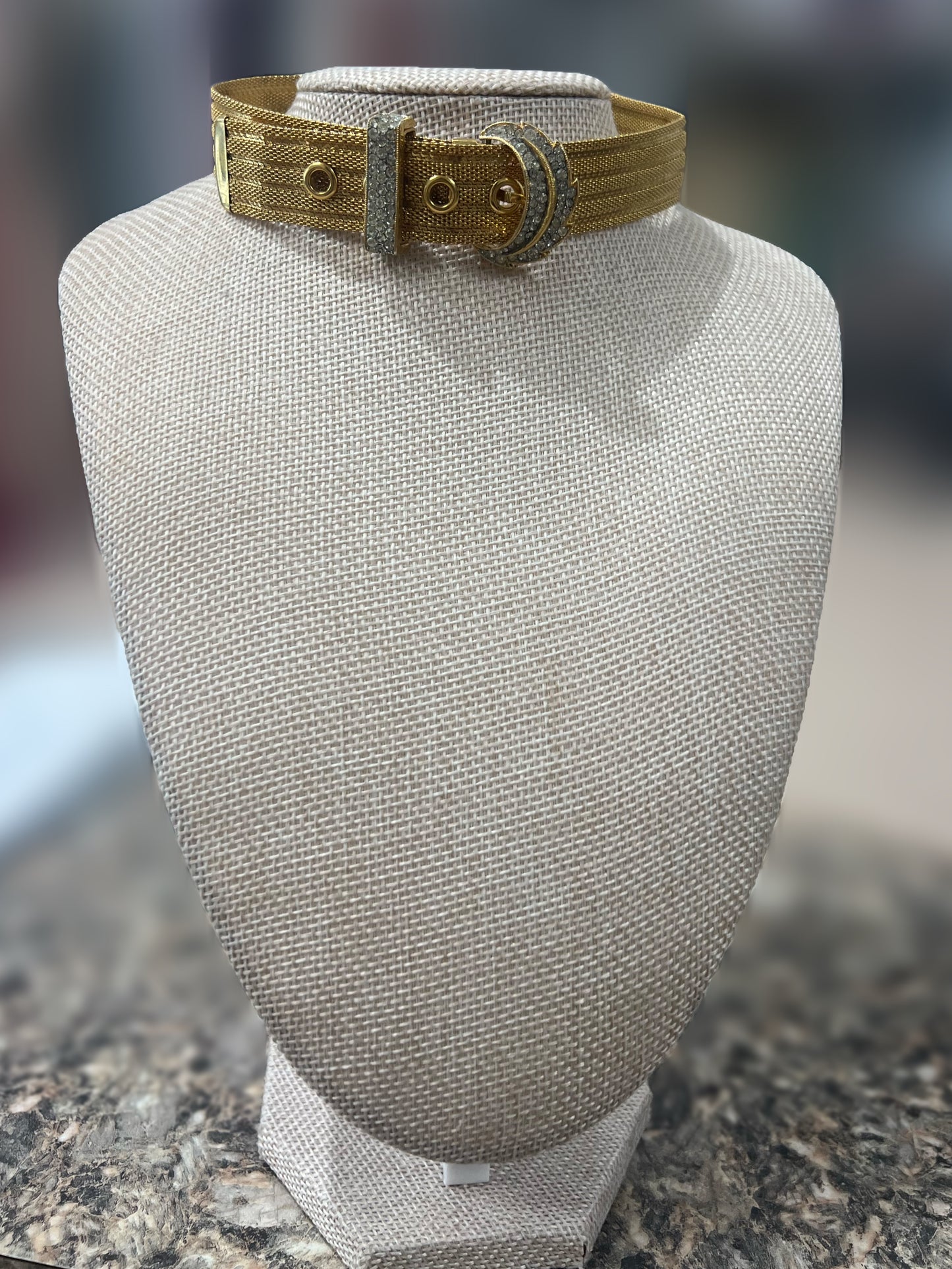 Gold Mesh Buckle Choker