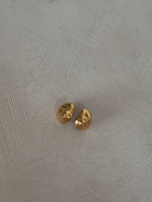 Shell Earrings