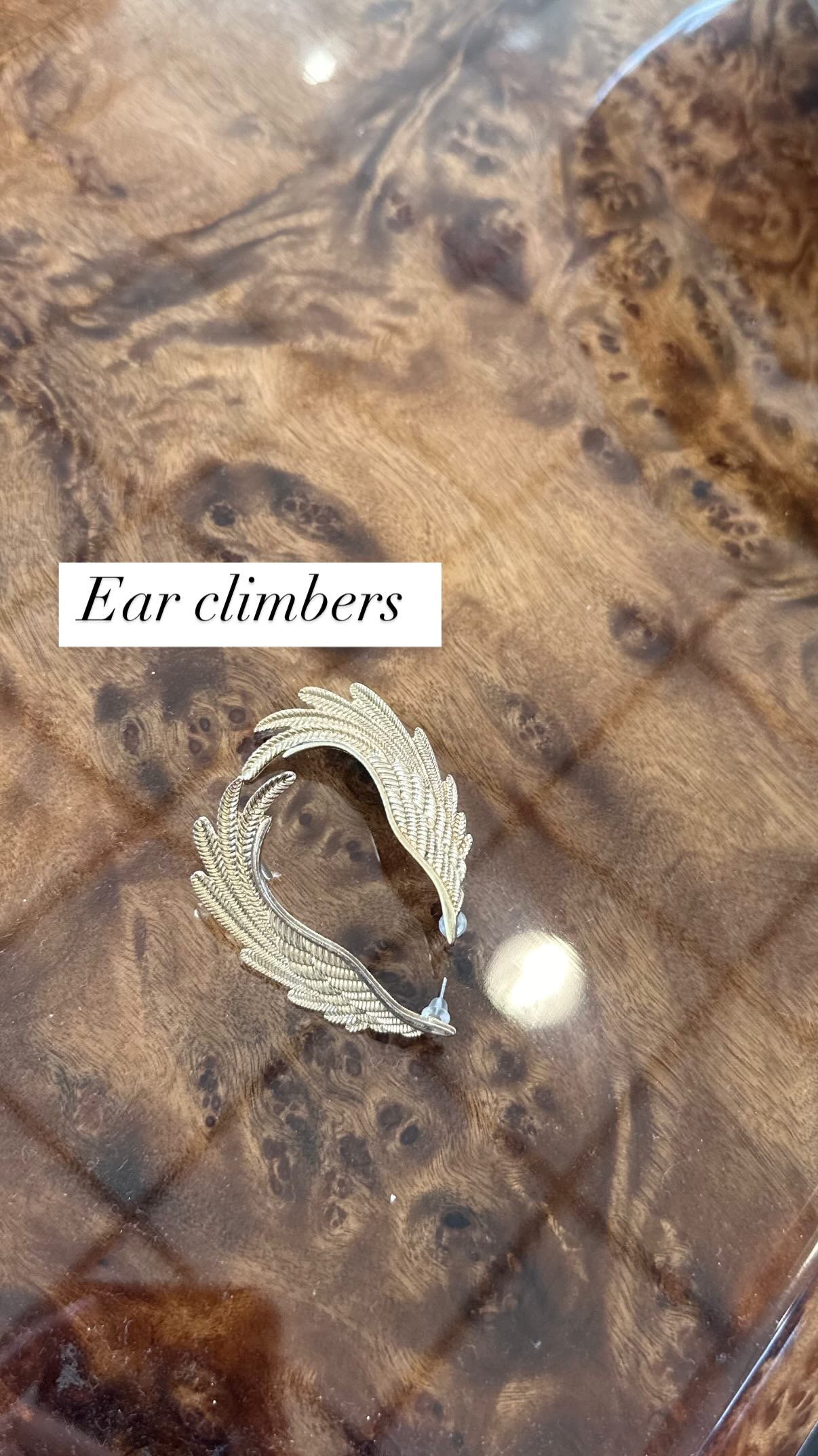 Gold winged ear climbers