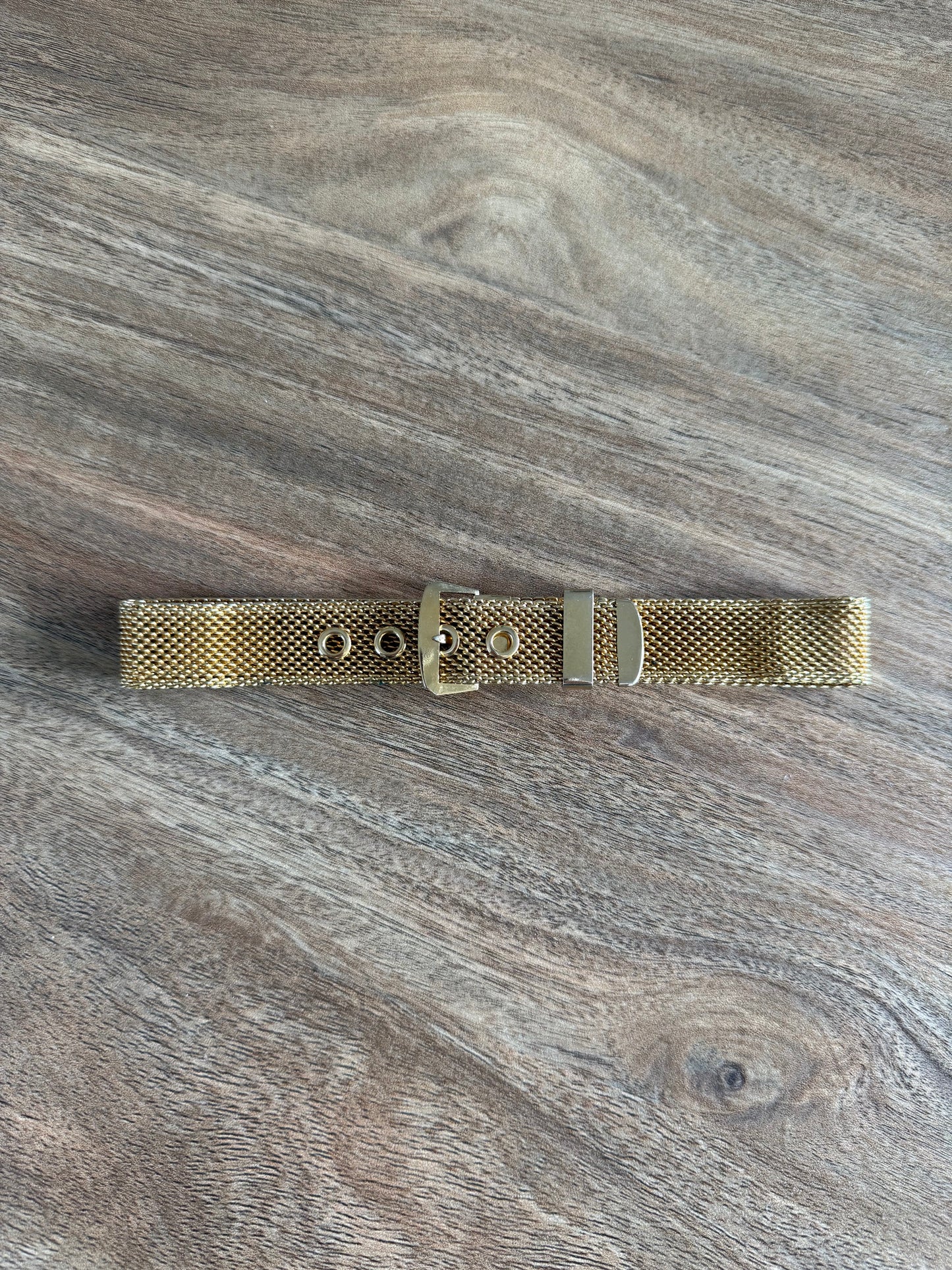 Buckle Choker Necklace