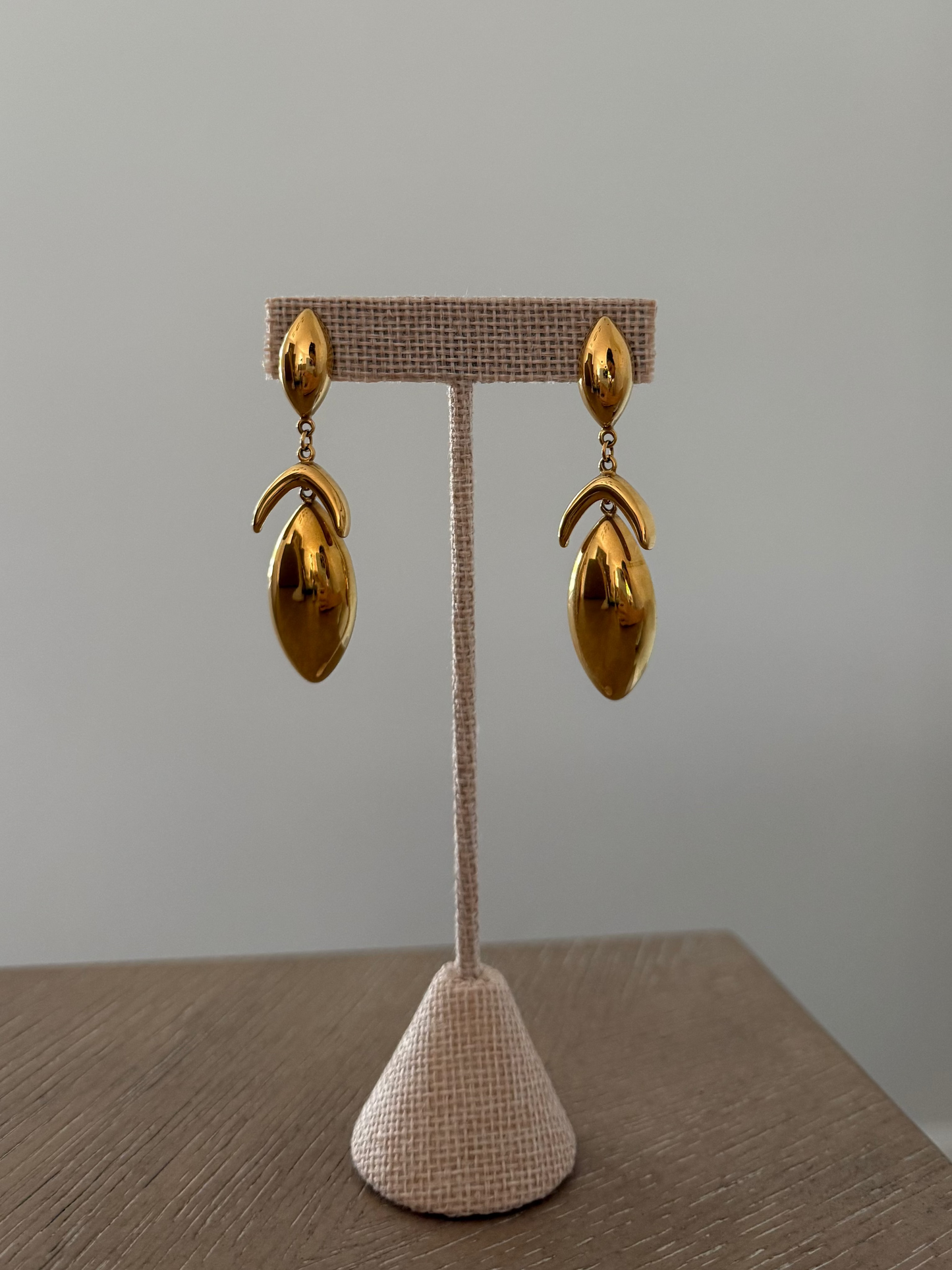 Gold Oval Shaped Hanging Earring